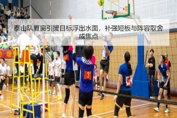 泰山队夏窗引援目标浮出水面，补强短板与阵容取舍成焦点